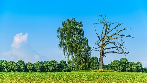 DIN-Ausschuss verabschiedet „ESG-Modul“ zur Abfrage von Nachhaltigkeitspräferenzen final