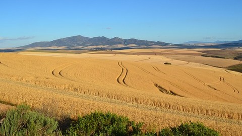 Diebe stehlen kompletten Reisebus in Selm