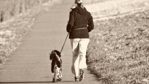Wer haftet, wenn der Radfahrer über einen angeleinten Hund stürzt?
