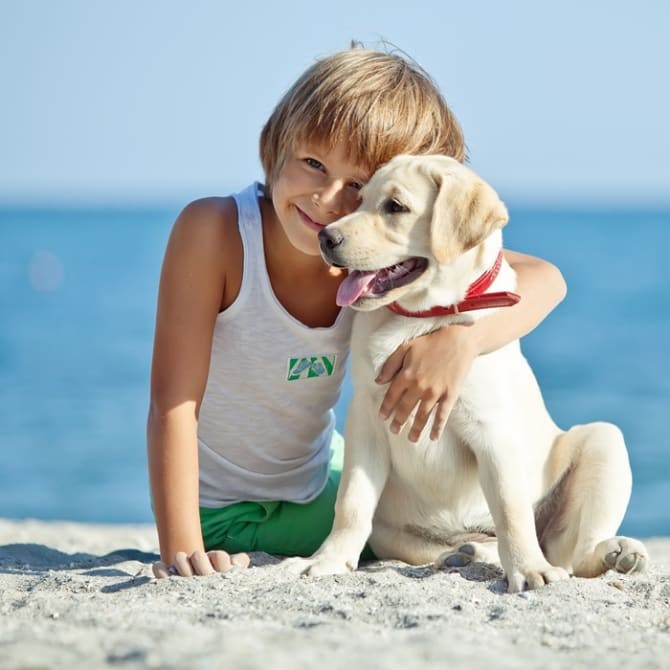 Barmenia bringt Operationskostenversicherung für Hunde