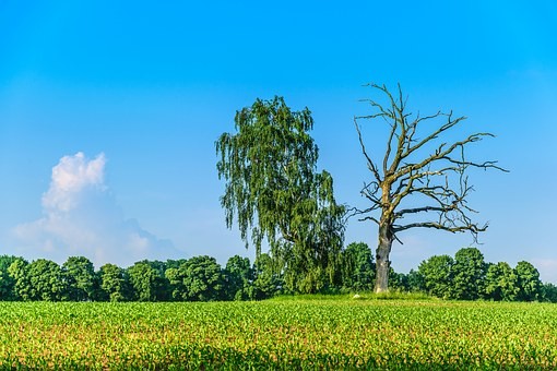 DIN-Ausschuss verabschiedet „ESG-Modul“ zur Abfrage von Nachhaltigkeitspräferenzen final