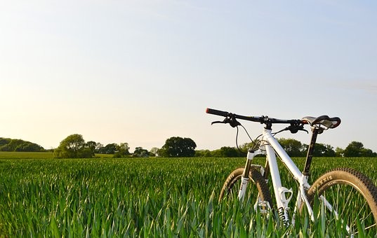 Tarife im Test: Pedelec-Versicherung wird immer hochwertiger